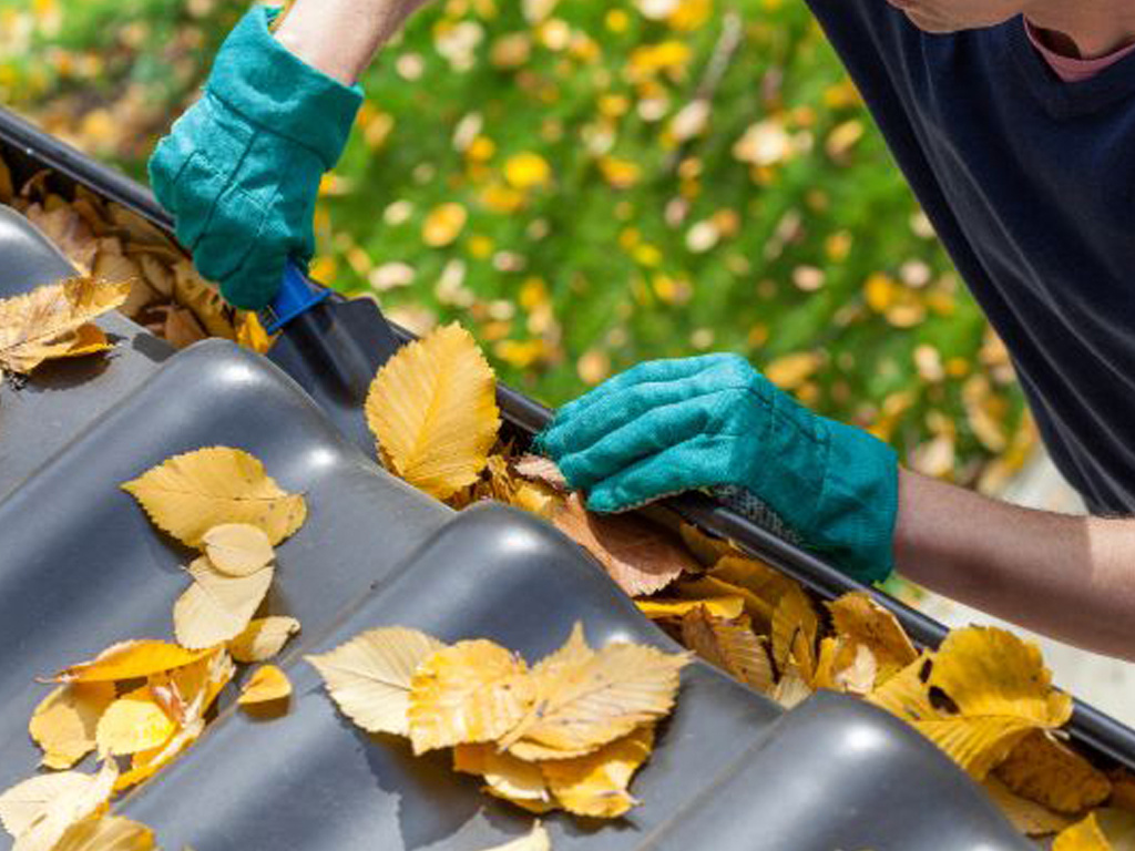 Las Vegas Nevada Gutter Cleaning